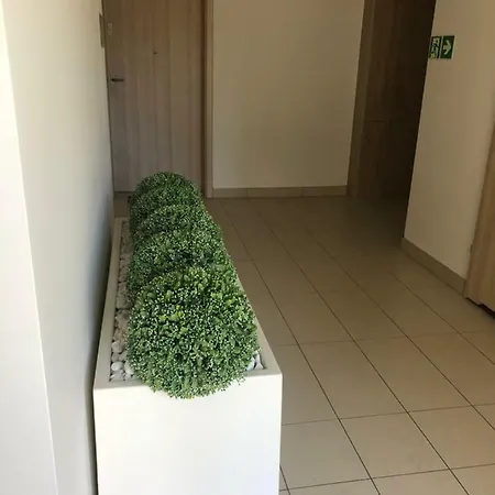 Apartament Sloneczny