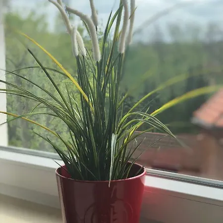 Apartament Sloneczny Lejlighed *